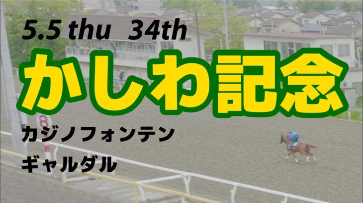 【船橋競馬】第34回 かしわ記念 追い切り【ドローン】　#カジノフォンテン　#ギャルダル