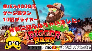 #481【オンラインカジノ｜スロット🎰】釣るか？！釣られるか？！金バス4000倍ゲージ満タン10倍プライヤー目指し！｜Bigger Bass｜月3万円お小遣い代表