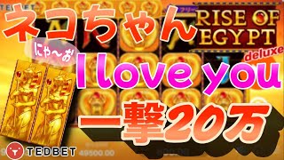 オンラインカジノ！！5万スタート＋追加5万＋追加10万【TEDBET　テッドベット】