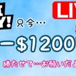 【カジノフライデー】勝ちにこだわる！！POP系久々にやっちゃいたい♡