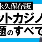 【有料級】カジノ専門家がネットカジノの本質問題を解説します