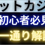 初心者必見！これで分かる！ネットカジノとは？【円表記サイト、入出金、ゲーム性】を解説！プレゼントあります！