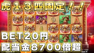 【オンラインカジノ】出た！虎13匹固定でフィーバータイム突入したw【Tiger’s Glory Ultra】