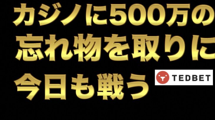 【オンラインカジノ】500万の忘れ物回収します。テッドベット