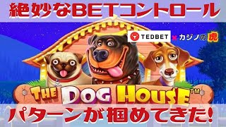 #509【オンラインカジノ｜スロット🎰】BETコントロール本日絶妙❣｜The Dog House｜金無しセミリタイヤ月3万円お小遣い代表