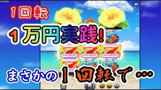 【オンラインカジノ】1回転1万円高額ベット！？まさかの1回転で…【ハワイアンドリーム】【BONSカジノ】