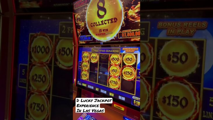 $50/SPIN Dragon Link High Limit Slots D Lucky Jackpot Experience in Las Vegas #lasvegas #casino