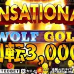 #572【オンラインカジノ｜スロット🎰】勝負！スロット１回転3,000円｜WOLF GOLD｜金無し痔主セミリタイヤ月3万円お小遣い代表