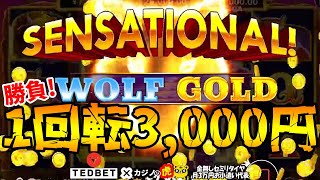 #572【オンラインカジノ｜スロット🎰】勝負！スロット１回転3,000円｜WOLF GOLD｜金無し痔主セミリタイヤ月3万円お小遣い代表