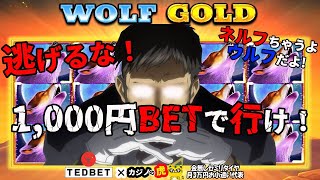 #580【オンラインカジノ｜スロット🎰】逃げるな！1,000円BETで行け！！｜Wolf Gold｜金無し痔主セミリタイヤ月3万円お小遣い代表