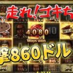 【オンラインカジノ】ゴキブリ大活躍！！一撃800ドル超え配当！