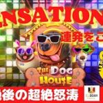 #610【オンラインカジノ｜スロット🎰】残金4,000円！空前絶後の超絶怒涛の逆転劇！！｜The Dog House｜金無し痔主セミリタイヤ月3万円お小遣い代表