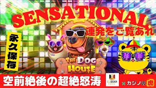 #610【オンラインカジノ｜スロット🎰】残金4,000円！空前絶後の超絶怒涛の逆転劇！！｜The Dog House｜金無し痔主セミリタイヤ月3万円お小遣い代表