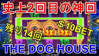 【THE DOG HOUSE】神回！オンラインカジノの＄10BETで大事故が起きました！