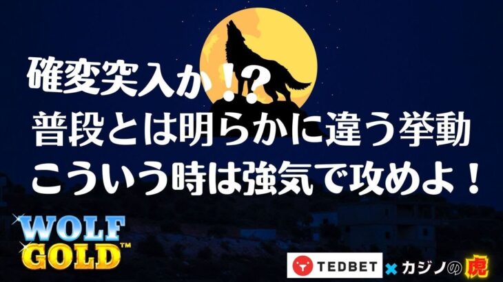 #654【オンラインカジノ｜スロット🎰】確変突入か?!普段とは明らかに違う挙動こういう時は強気で攻めよ！｜Wolf Gold｜金無し痔主セミリタイヤ月3万円お小遣い代表