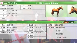 カジノフォンテンのレース集【ウイニングポスト9 2022】