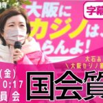 【字幕入り】大石あきこ 国会質問！「大阪カジノ審査に物申す！」 衆議院・内閣算委（2022年11月4日）