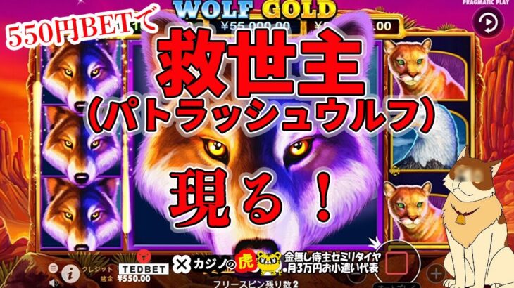 #683【オンラインカジノ｜スロット🎰】550円BETで救世主（パトラッシュウルフ）現る！｜Wolf Gold｜金無し痔主セミリタイヤ月3万円お小遣い代表