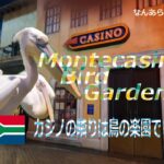 Montecasino Bird Gardens 🐤カジノ併設の鳥のテーマパーク🐦