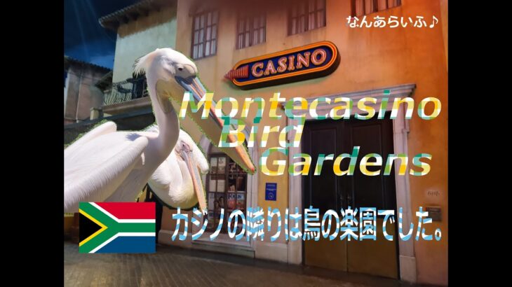 Montecasino Bird Gardens 🐤カジノ併設の鳥のテーマパーク🐦