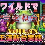 【オンラインカジノ】拡張ワイルドで高配当を狙え！王道ゲーム性の新台実践！【Wild Hop&Drop】【ユースカジノ】