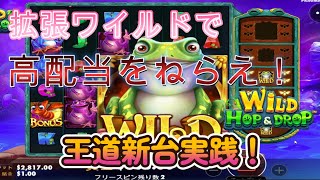 【オンラインカジノ】拡張ワイルドで高配当を狙え！王道ゲーム性の新台実践！【Wild Hop&Drop】【ユースカジノ】