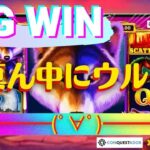 #723【オンラインカジノ｜スロット🎰】Big Win!!ド真ん中にウルフ！ｷﾀ――(ﾟ∀ﾟ)――!!｜Wolf Gold｜金無し痔主セミリタイヤ月3万円お小遣い代表