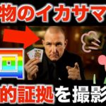 【衝撃映像】オンカジで本物のイカサマの証拠を掴みました。