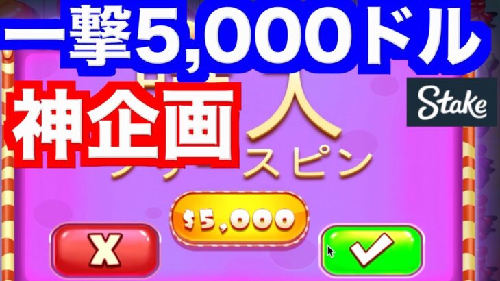 【オンラインカジノ】一発5000ドルのスロット企画でとんでもないことに？〜stake〜